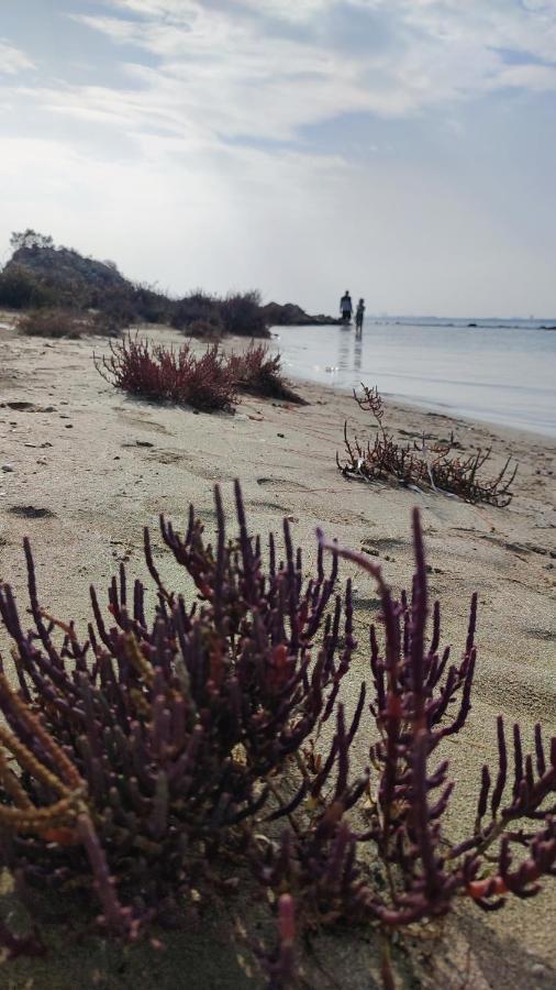 Fantastic 4 Cyprus First Line Beachfront Boghaz Exterior foto