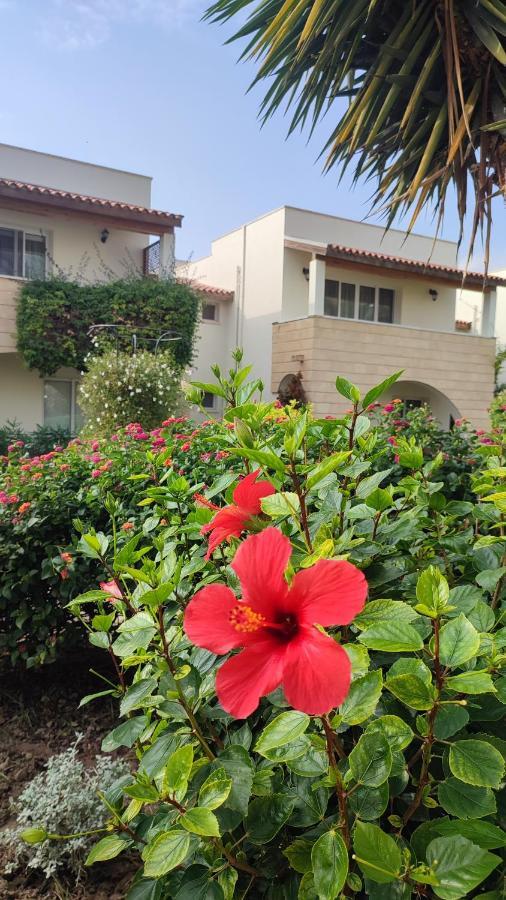 Fantastic 4 Cyprus First Line Beachfront Boghaz Exterior foto